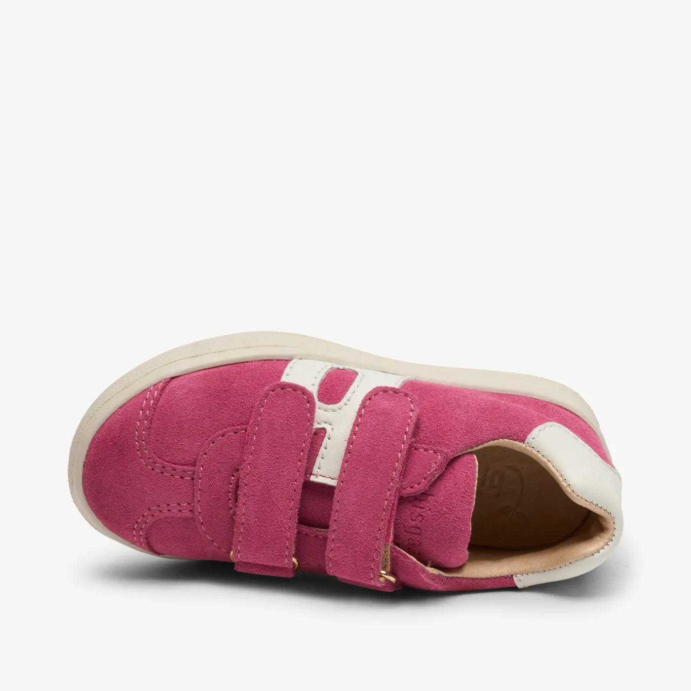 bisgaard bay v fuxia