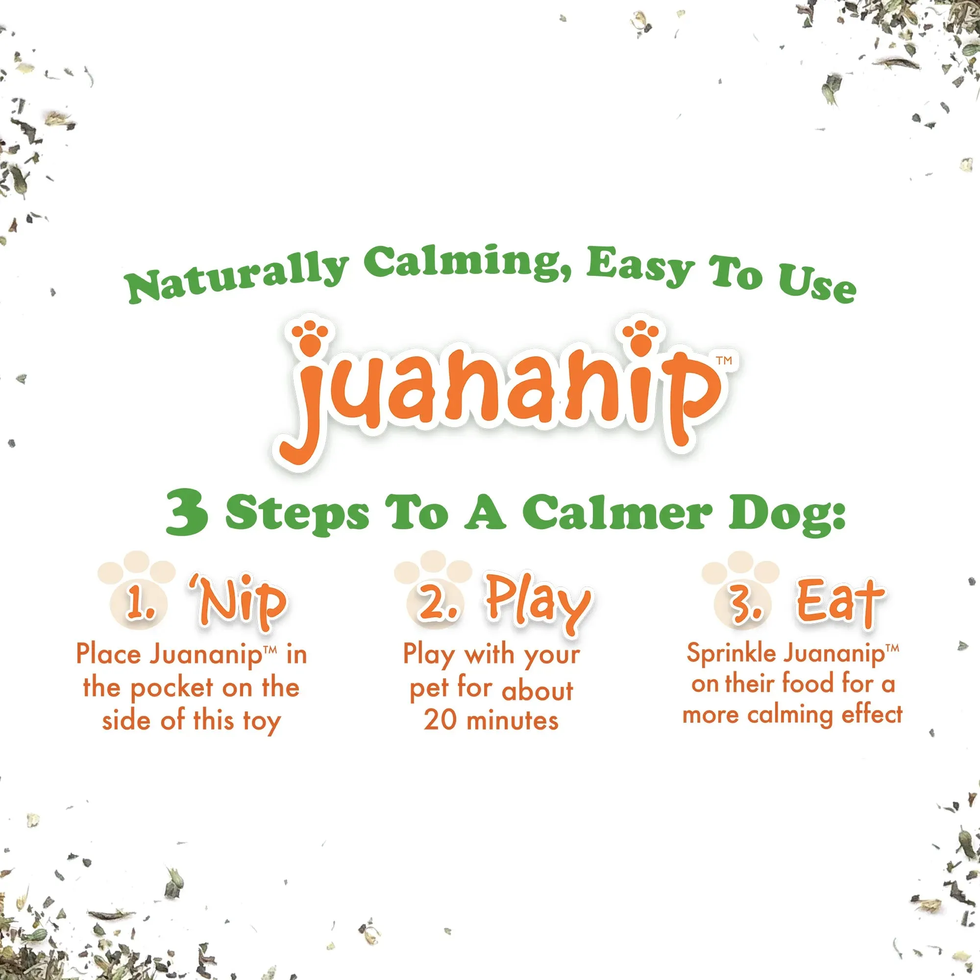 Get to the Beach Flip Flop Refillable Dog Toy