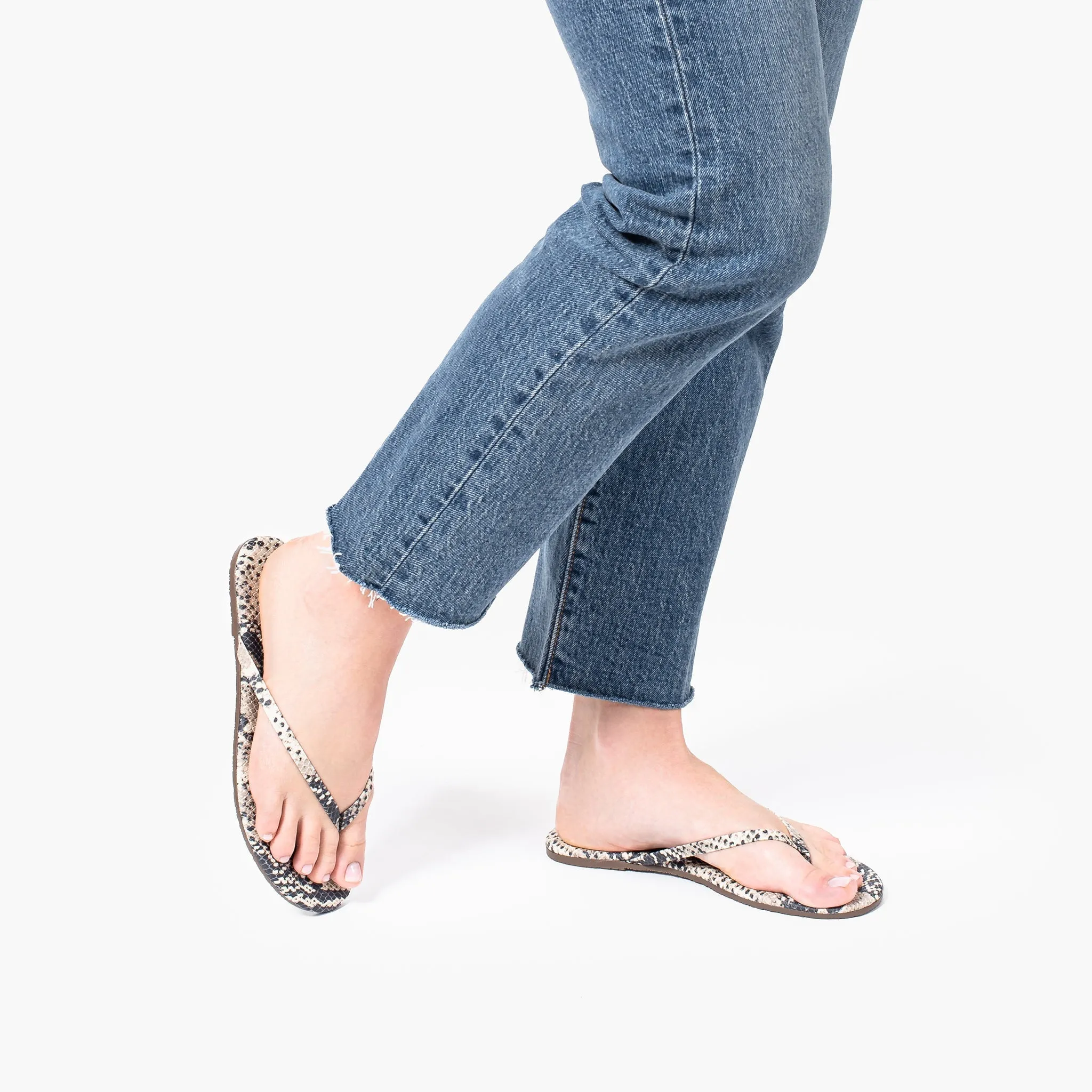Lily Vegan Animal - Sand Snake