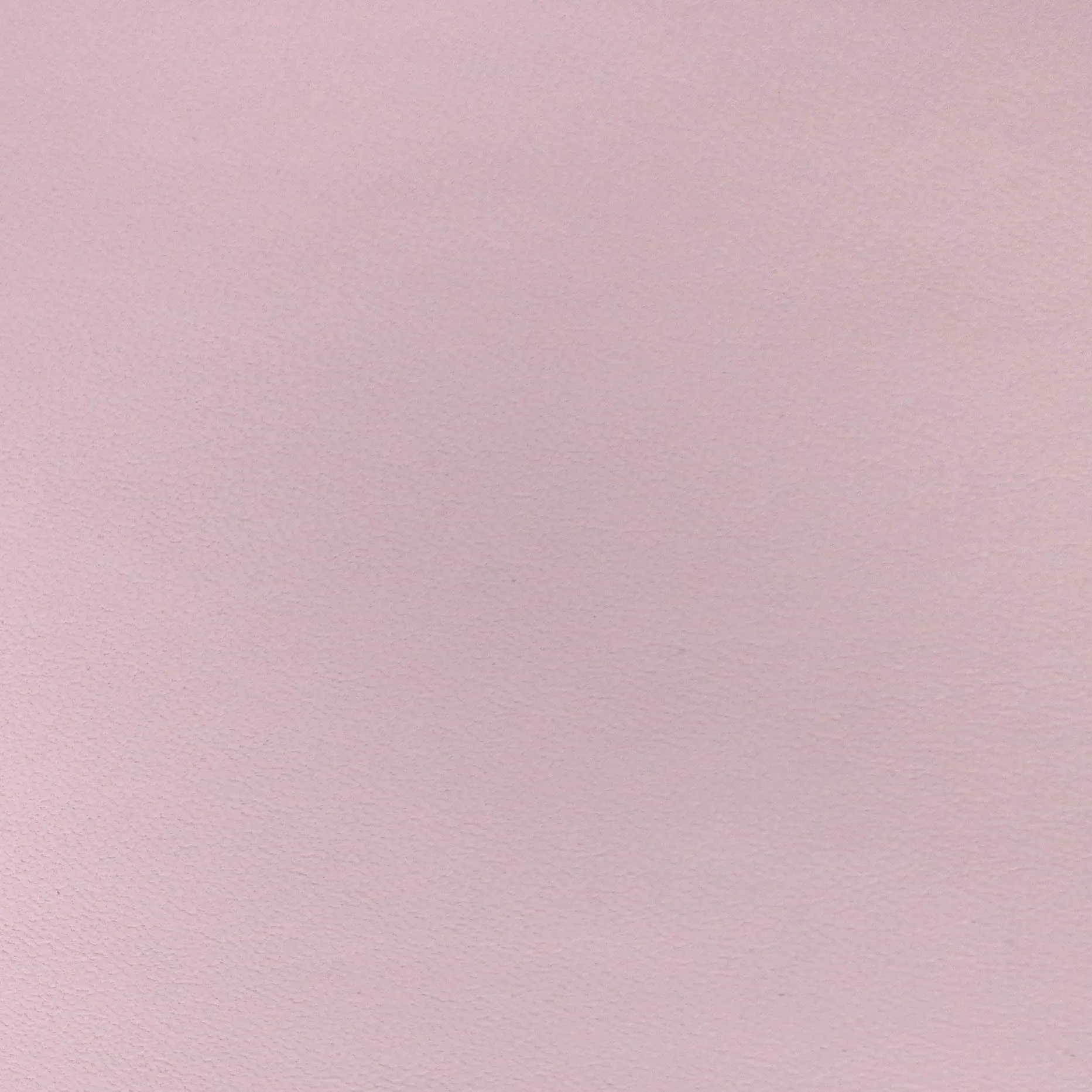 Soft Rose